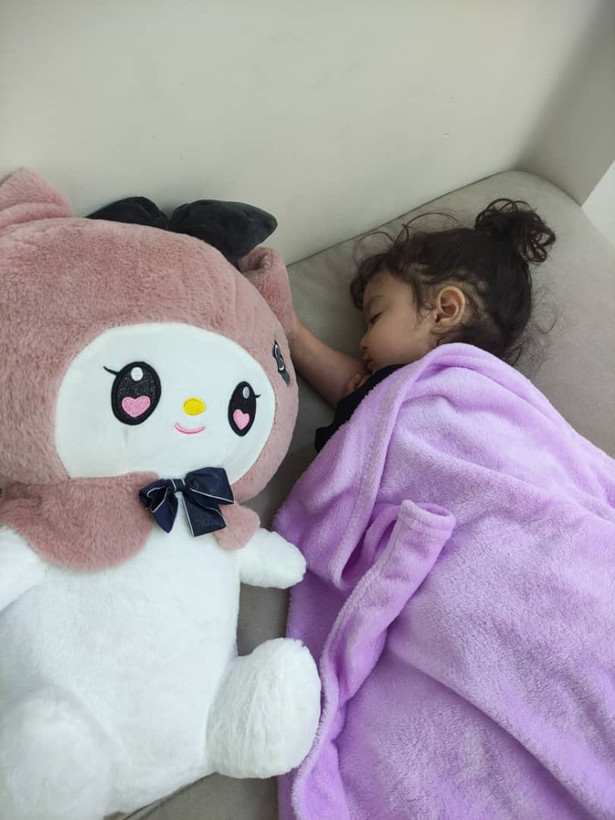 عروسک پرطرفدار ضد حساسیت ملودی پتو دار