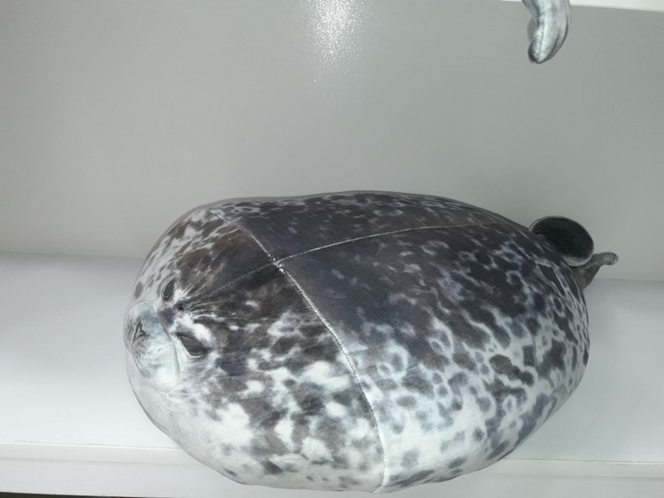 فوک سایز بزرگ بالشتی